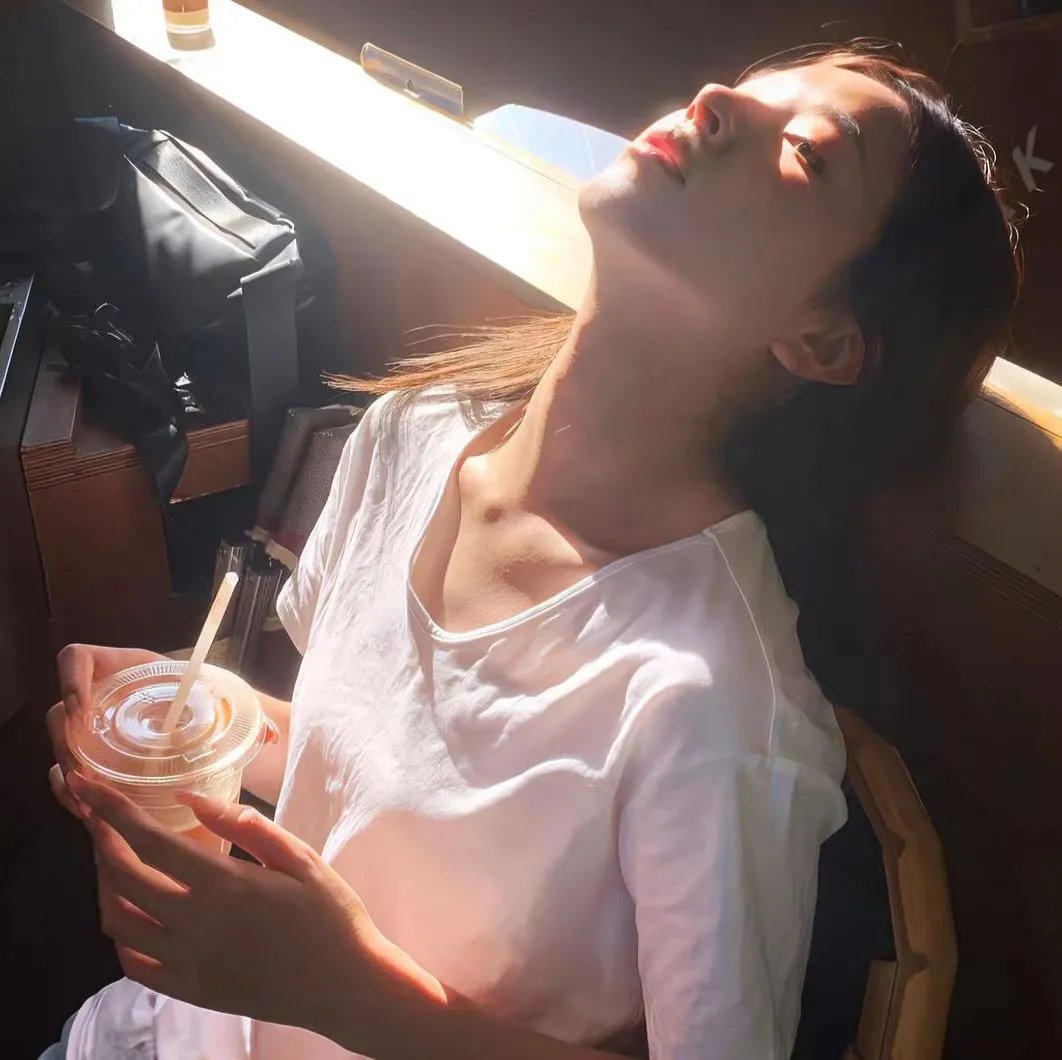 观鸟者指导大全